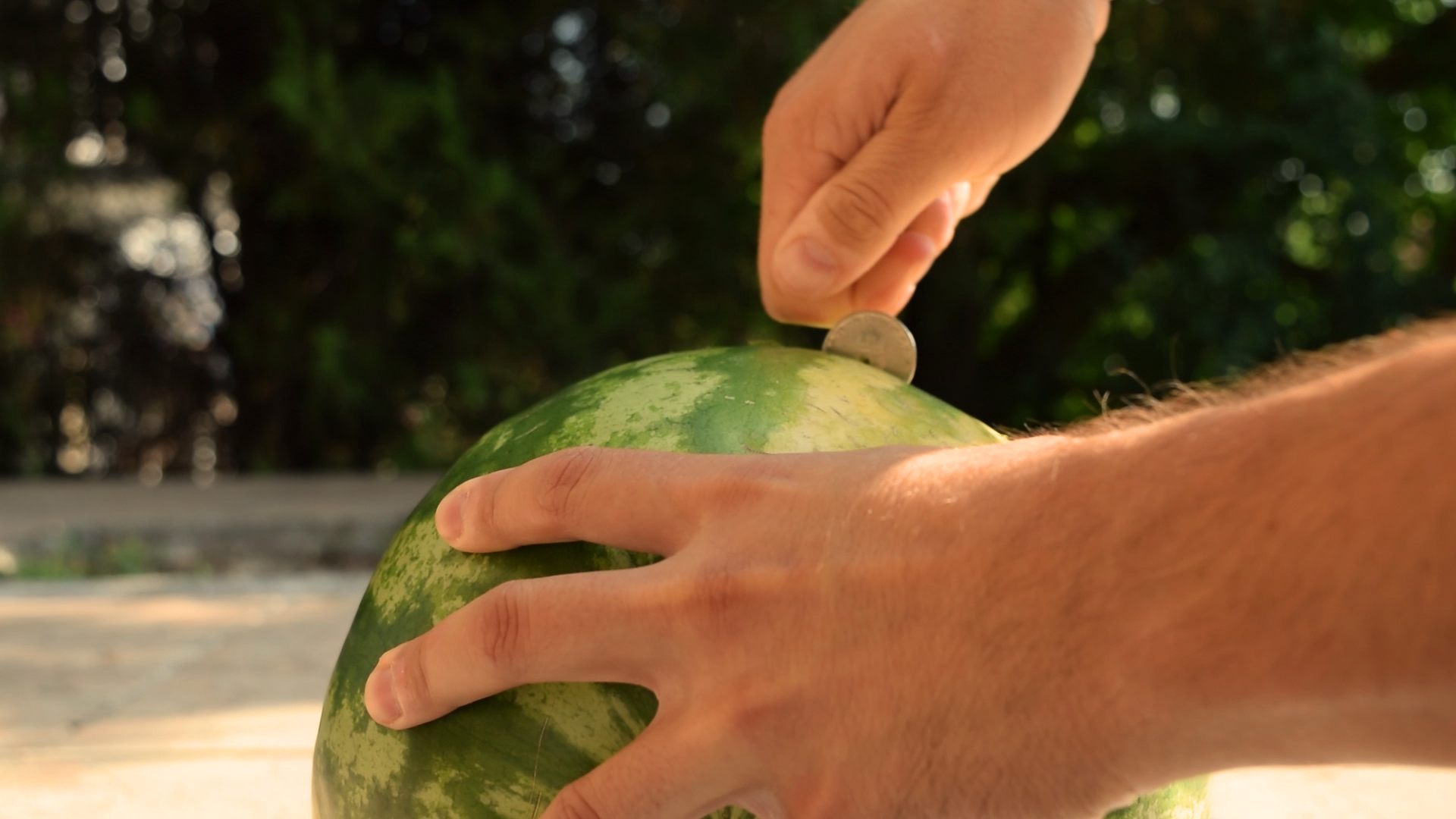 How to cut a watermelon half with a coin_freeze4.bmp