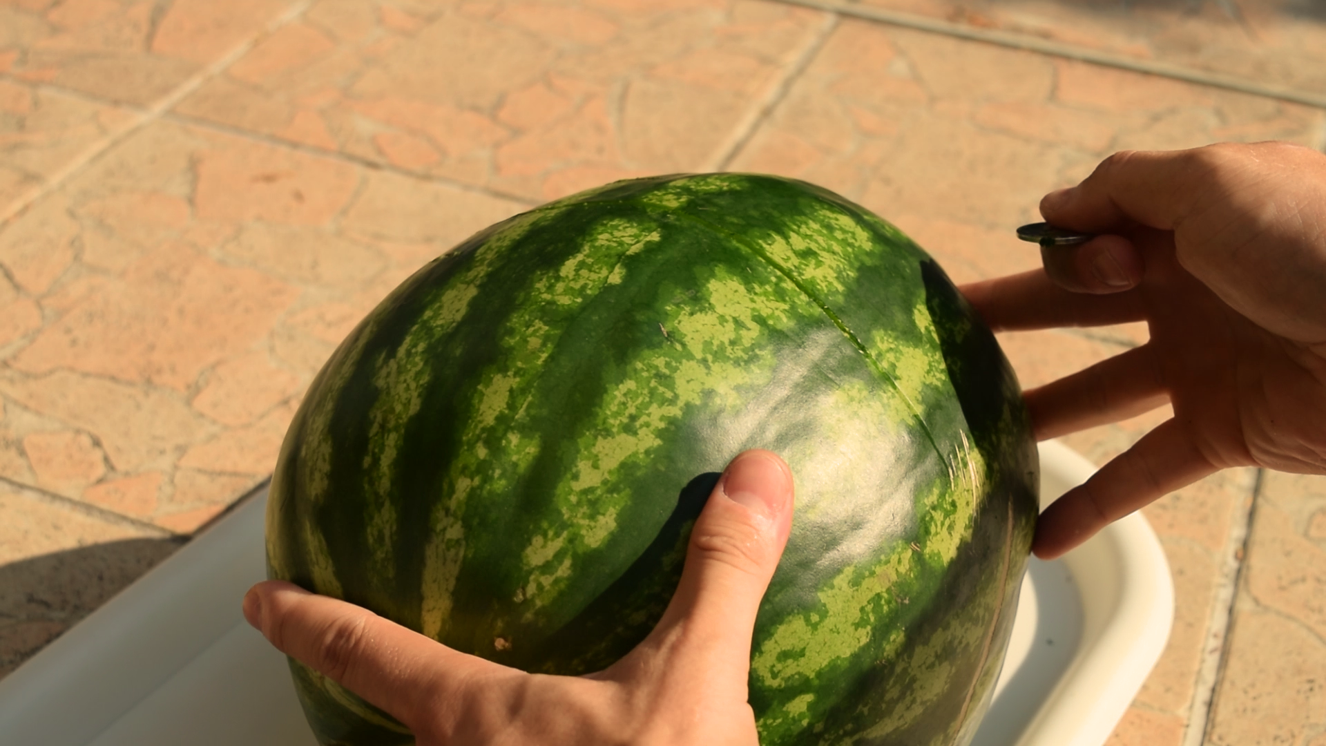 How to cut a watermelon half with a coin_freeze6.bmp