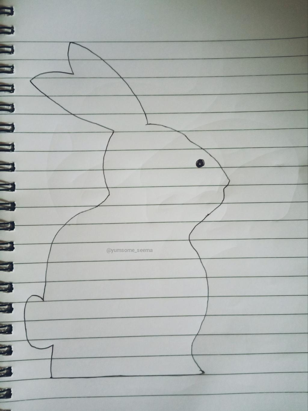 How to draw easy rabbit outline.jpg