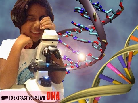 How to extract your own DNA at home