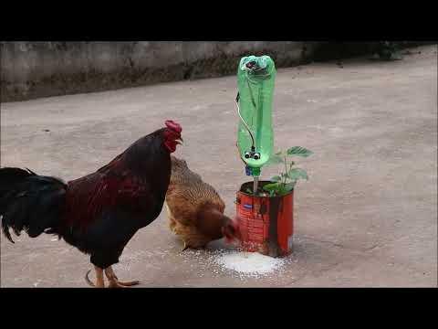 How to make Automatic Feeder for Birds and Pets in very easy way