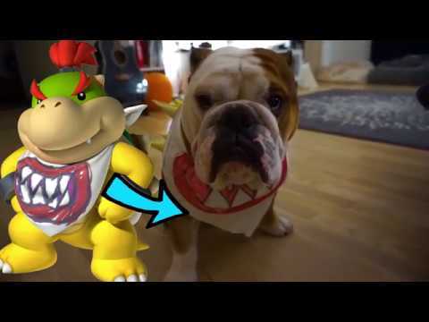 How to make DIY Bowser Junior Bandana for you and your pets