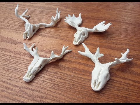 How to make a Animal Skull using Air Hardening Clay at Home.