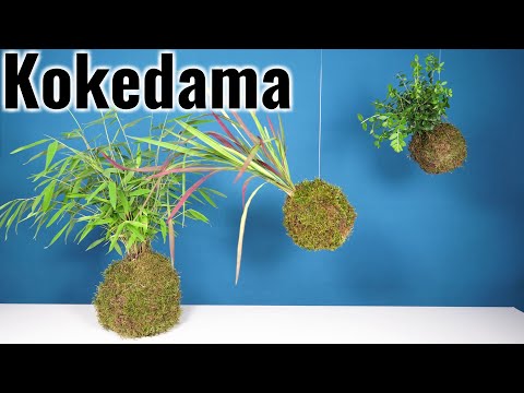 How to make a Kokedama