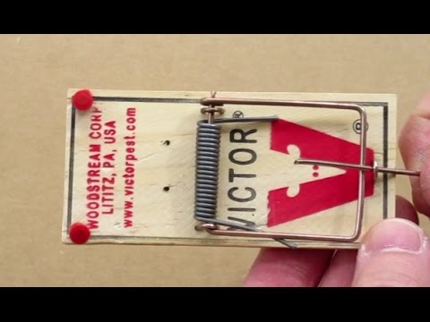 How to make a Mousetrap Trip Wire Alarm