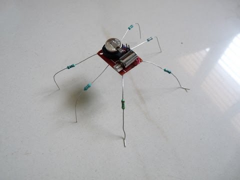 How to make a Toy Insect Robot