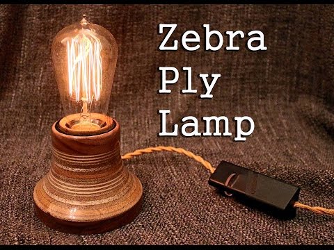 How to make a Zebra Light #9