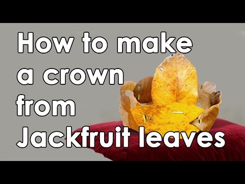 How to make a crown from jackfruit leaves