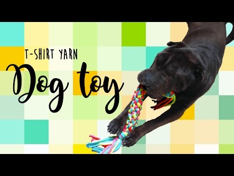 How to make a dog toy - T-shirt yarn Dog Toy DIY