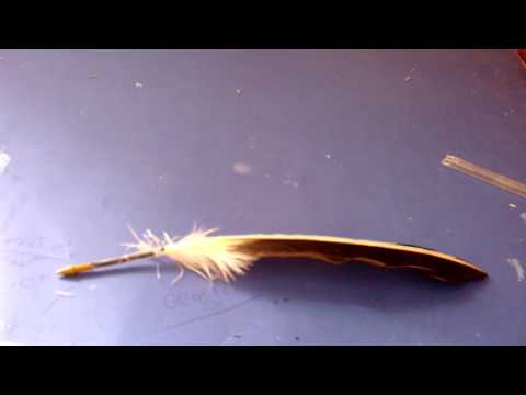 How to make a vintage feather pen !