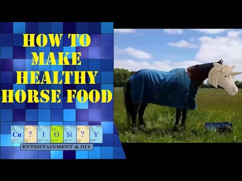 How to make healthy meal for horses