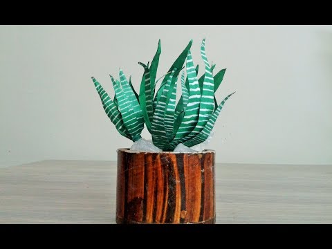 How to make paper zebra cactus, Diy Paper Craft