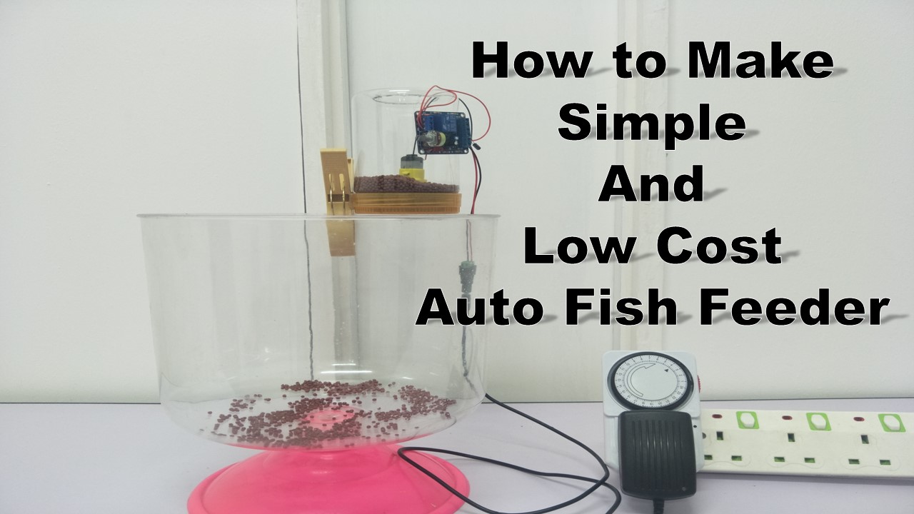 How to make simple and low cost auto fish feeder.jpg