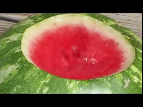 How to make watermelon taste sweet