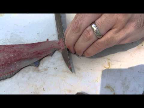 How to remove the skin off of a Flounder fillet