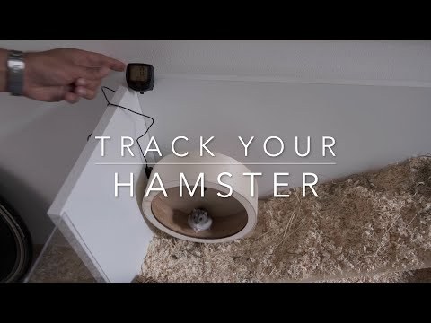 How to track your hamster