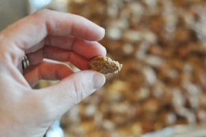 How-To-Dry-Almond-in-Fingers-300x199.jpg