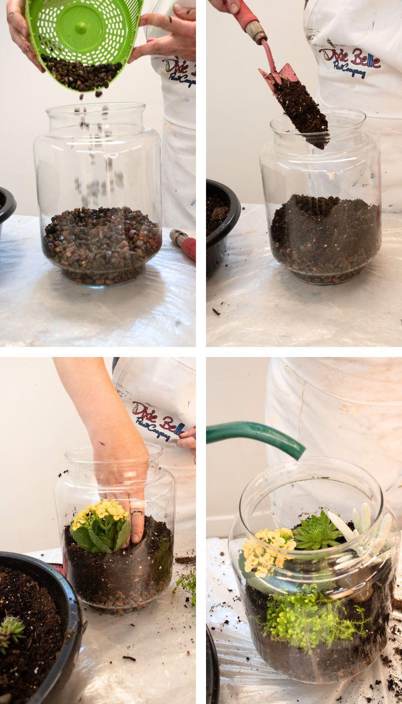 How-To-Make-A-DIY-Terrarium.jpg