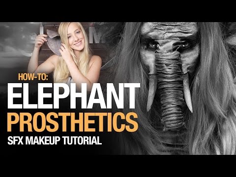 How-to: Elephant prosthetics tutorial