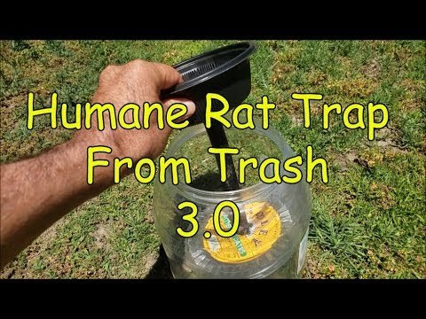 Humane Live Rat Trap from Trash 3.0