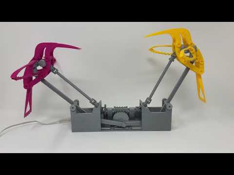 Hummingbirds Mechanism