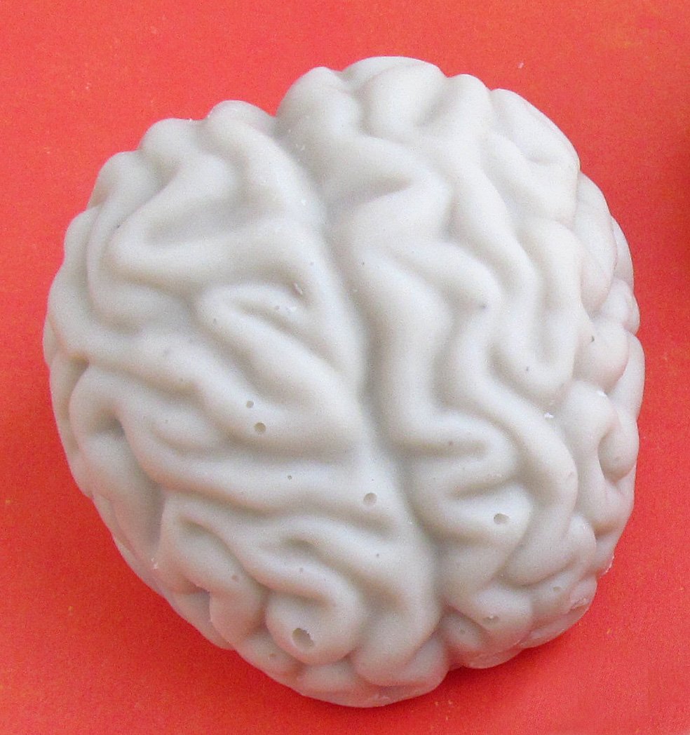 Hungry Happenings Cake Ball Brains single brain.jpg