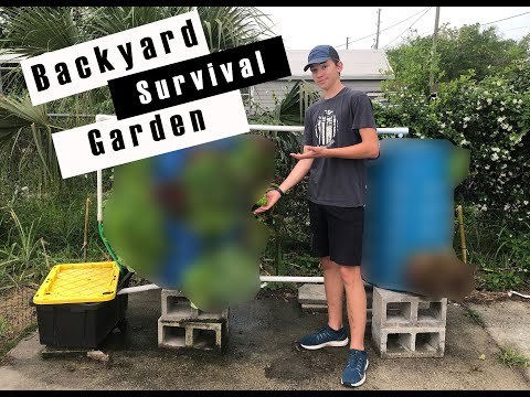 Hydroponic Survival Garden!