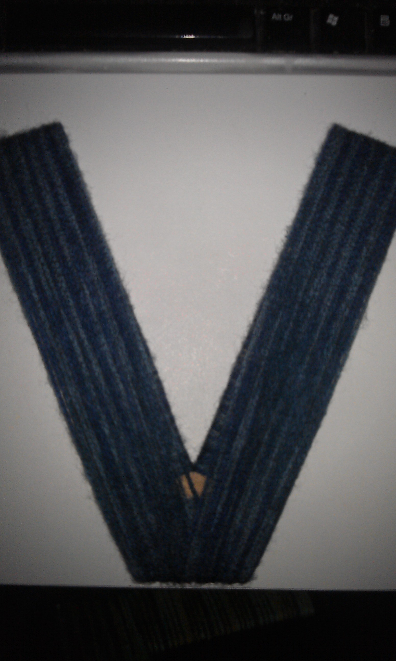 IMAG0154.jpg