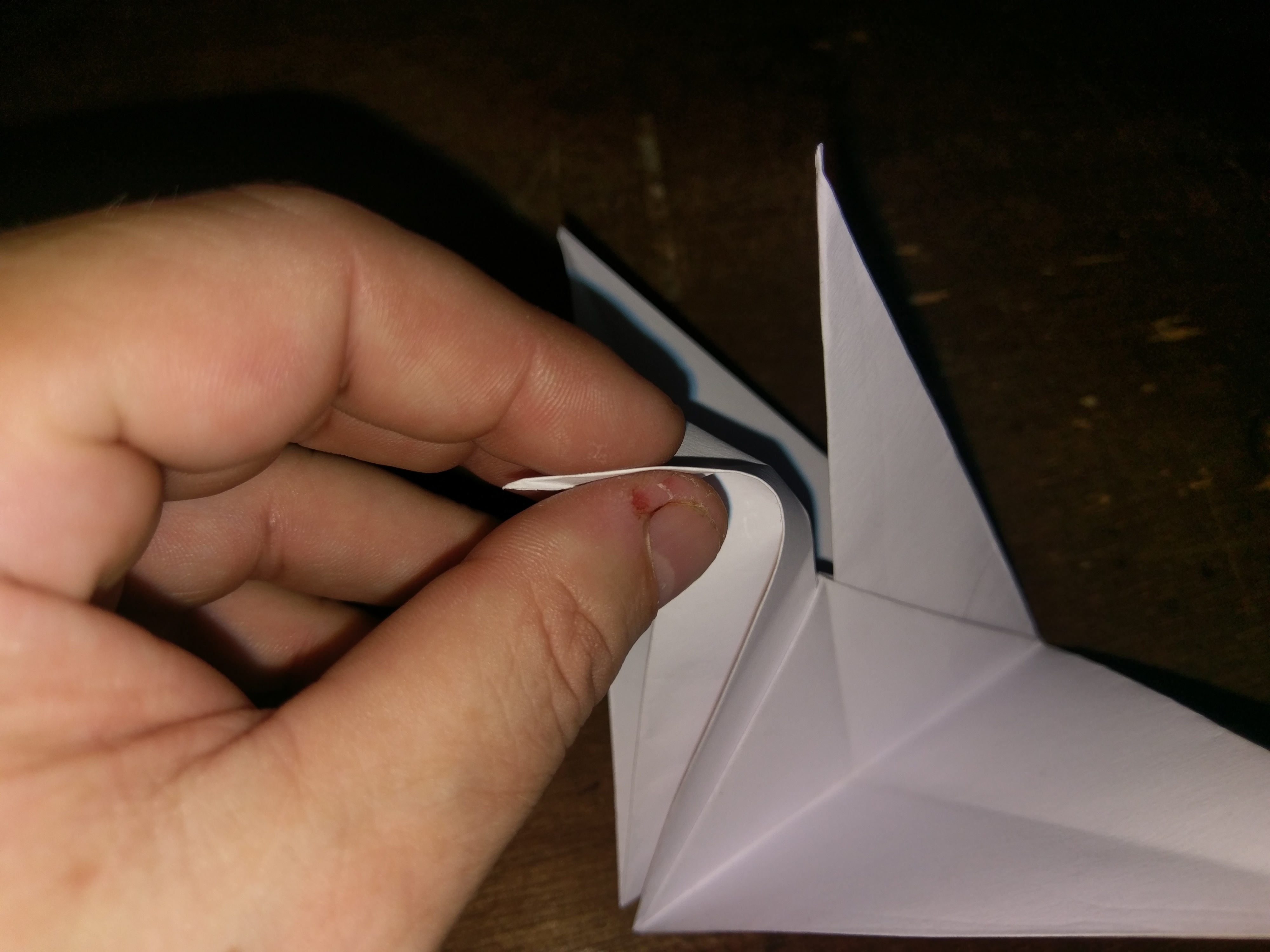 IMAG0243.jpg