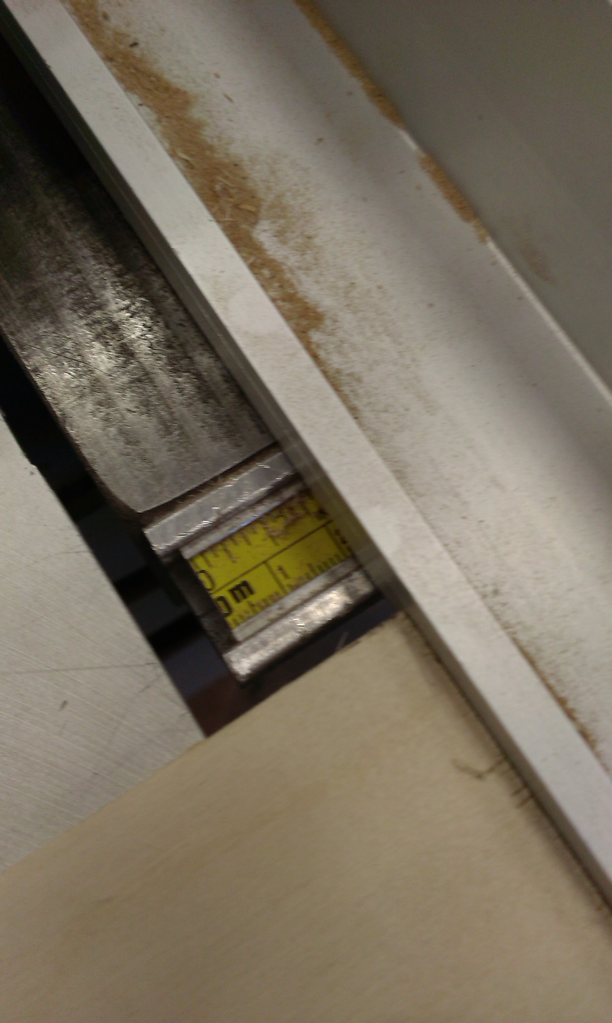 IMAG0275.jpg