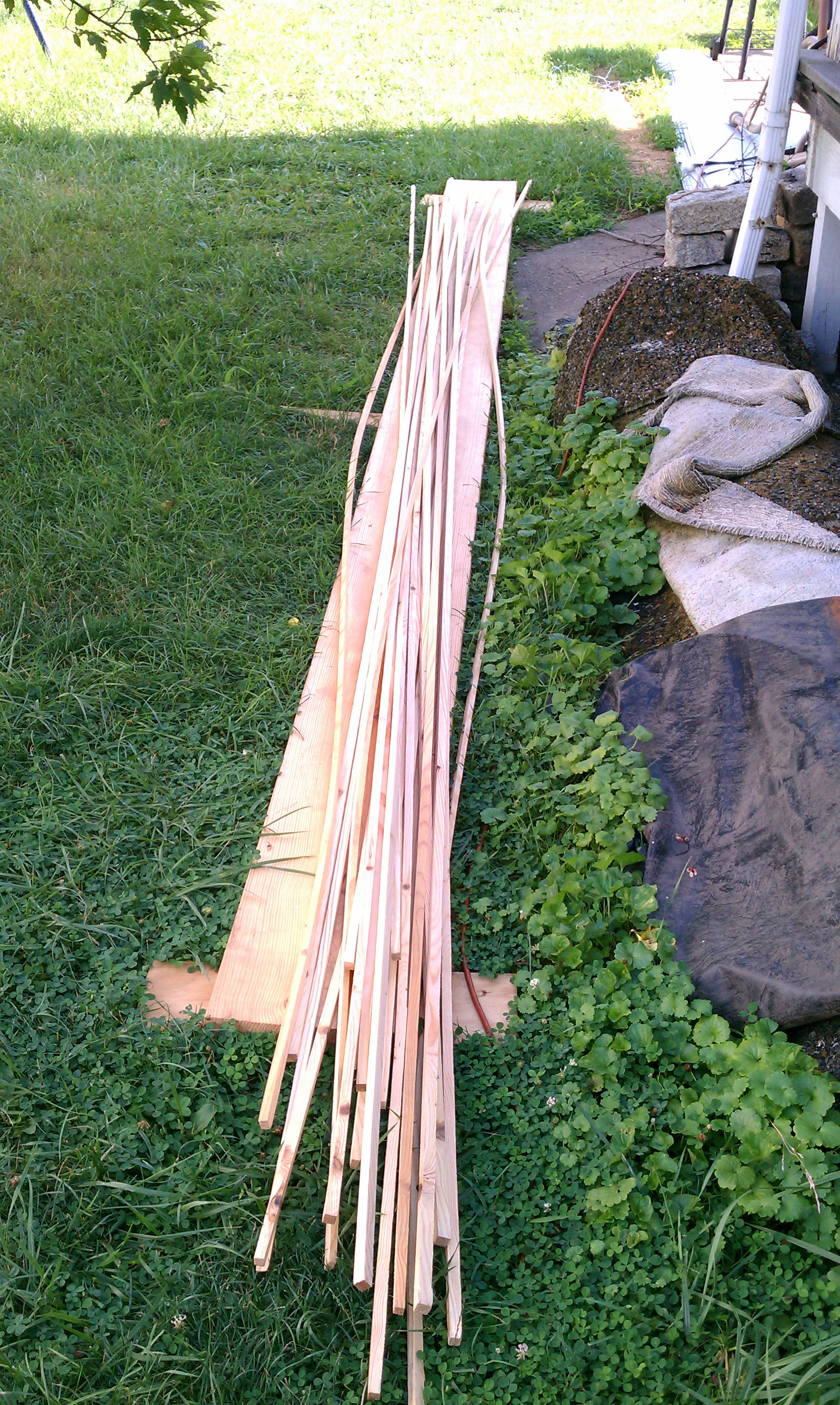 IMAG0565.jpg
