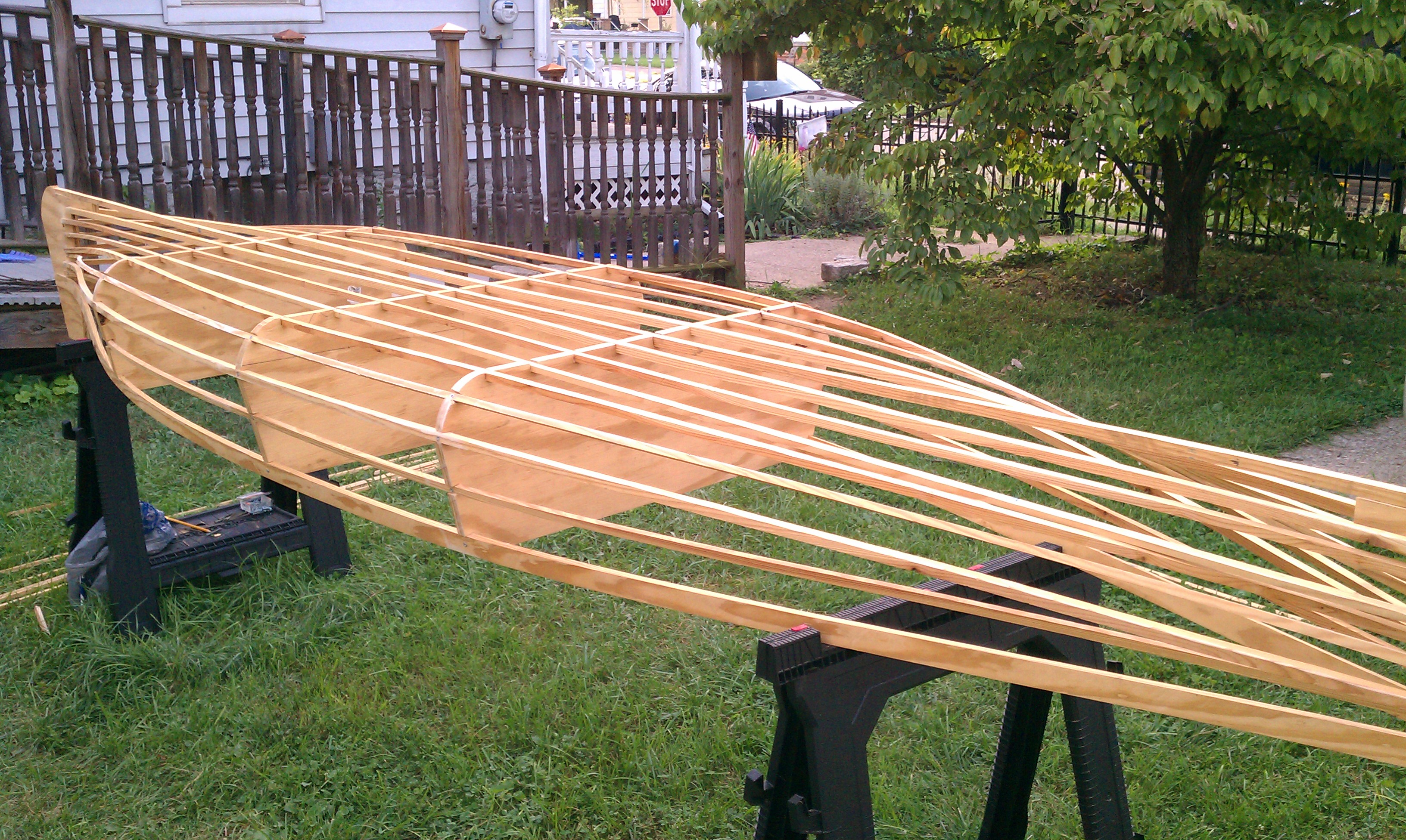 IMAG0585.jpg