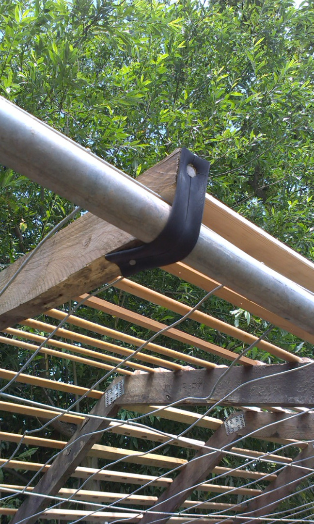 IMAG1253.jpg