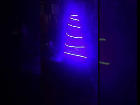 IMG 5416