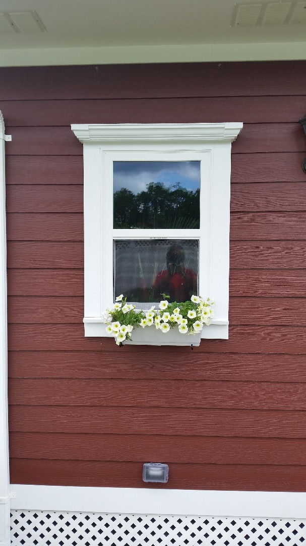 IMG-20150604-north window flower box.jpg