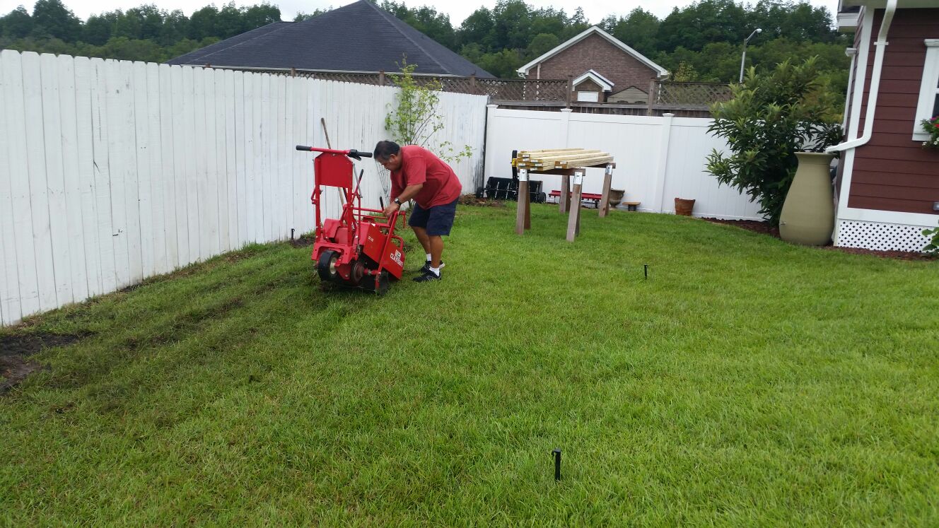 IMG-20150702-WA0029 Greenhouse sod removal.jpg