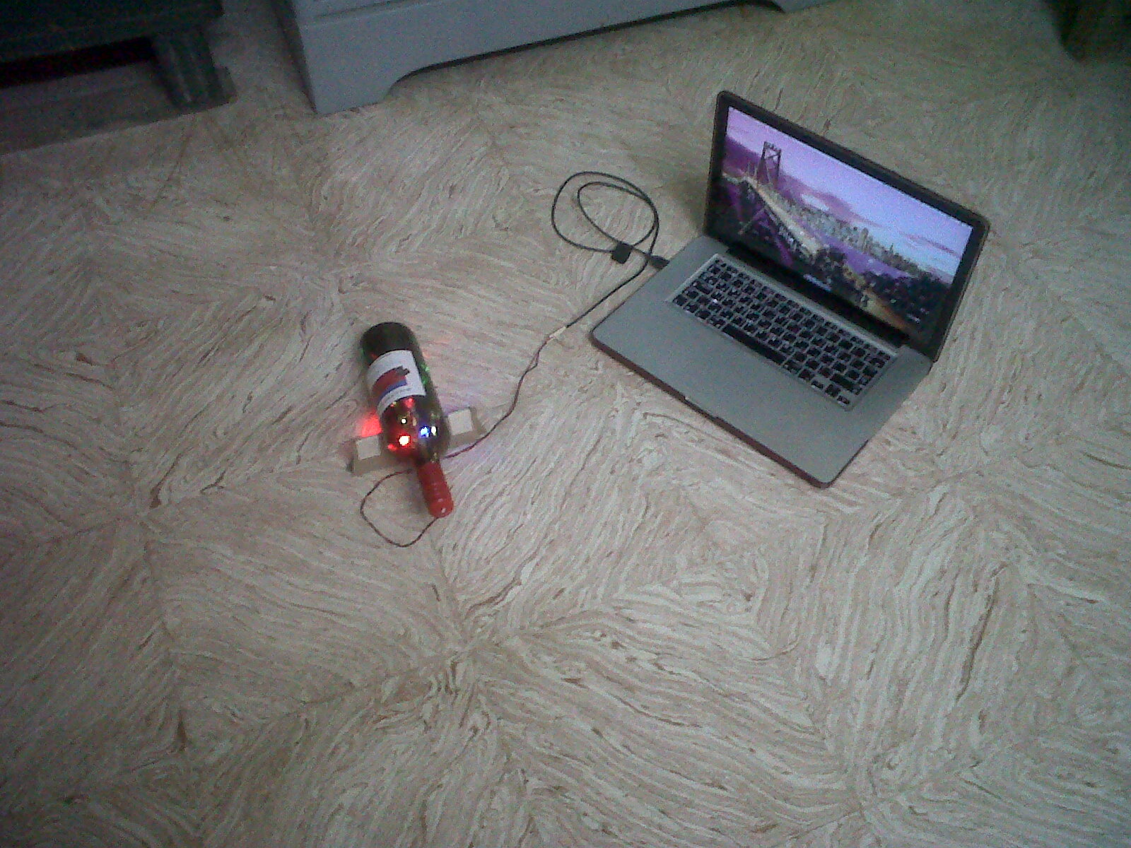 IMG00220-20130126-1008.jpg