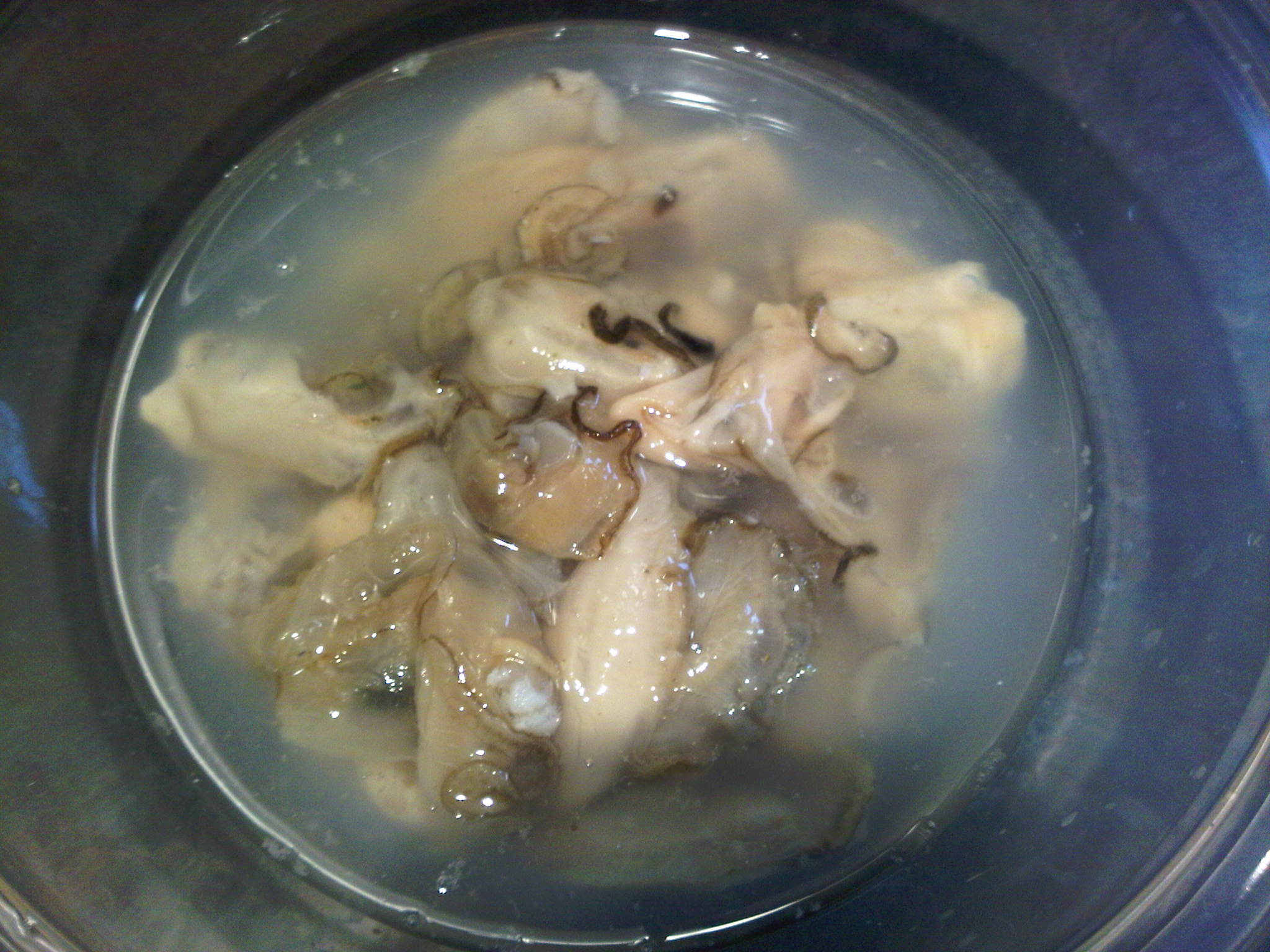 IMG01465-20111126-1340.jpg