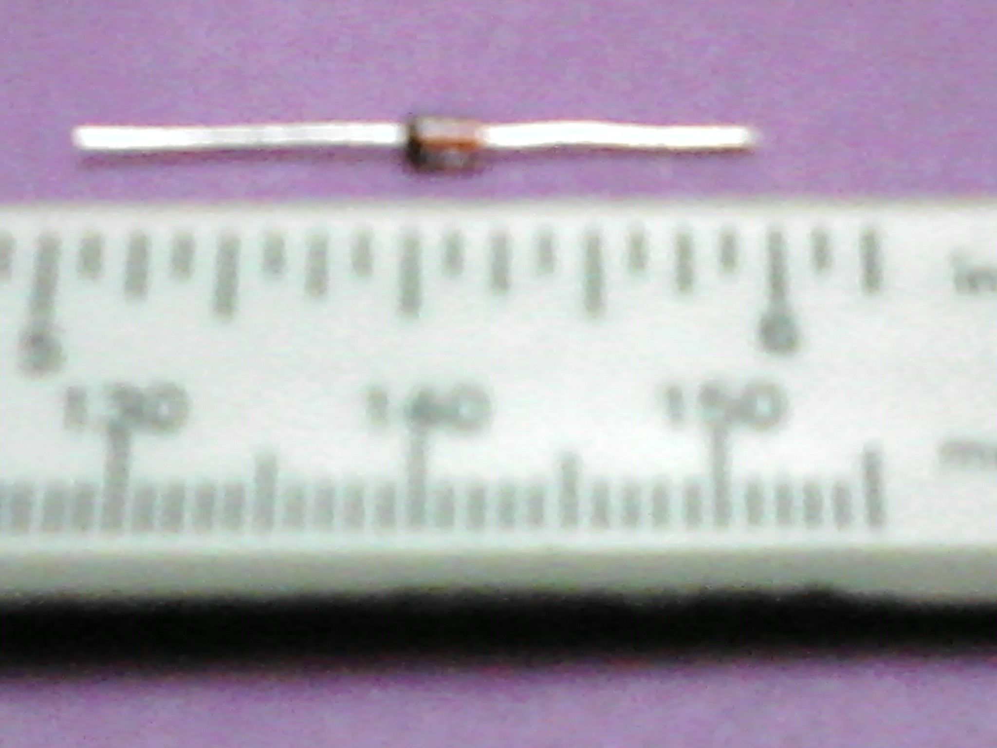 IMG149.jpg