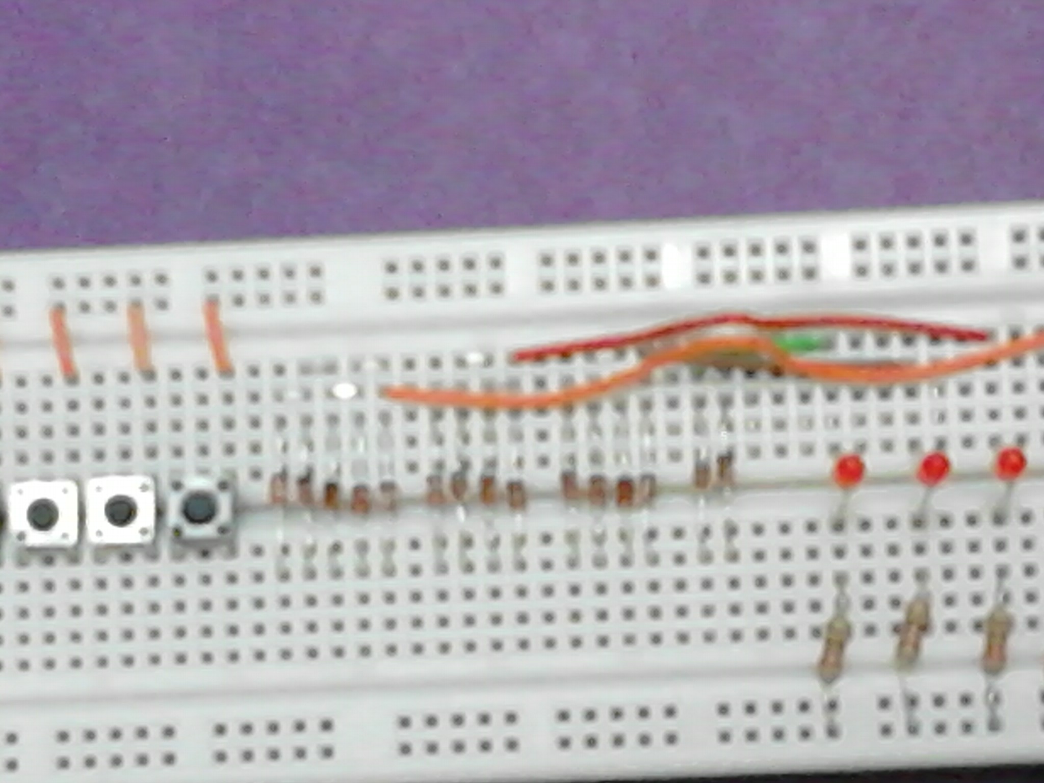IMG206.jpg