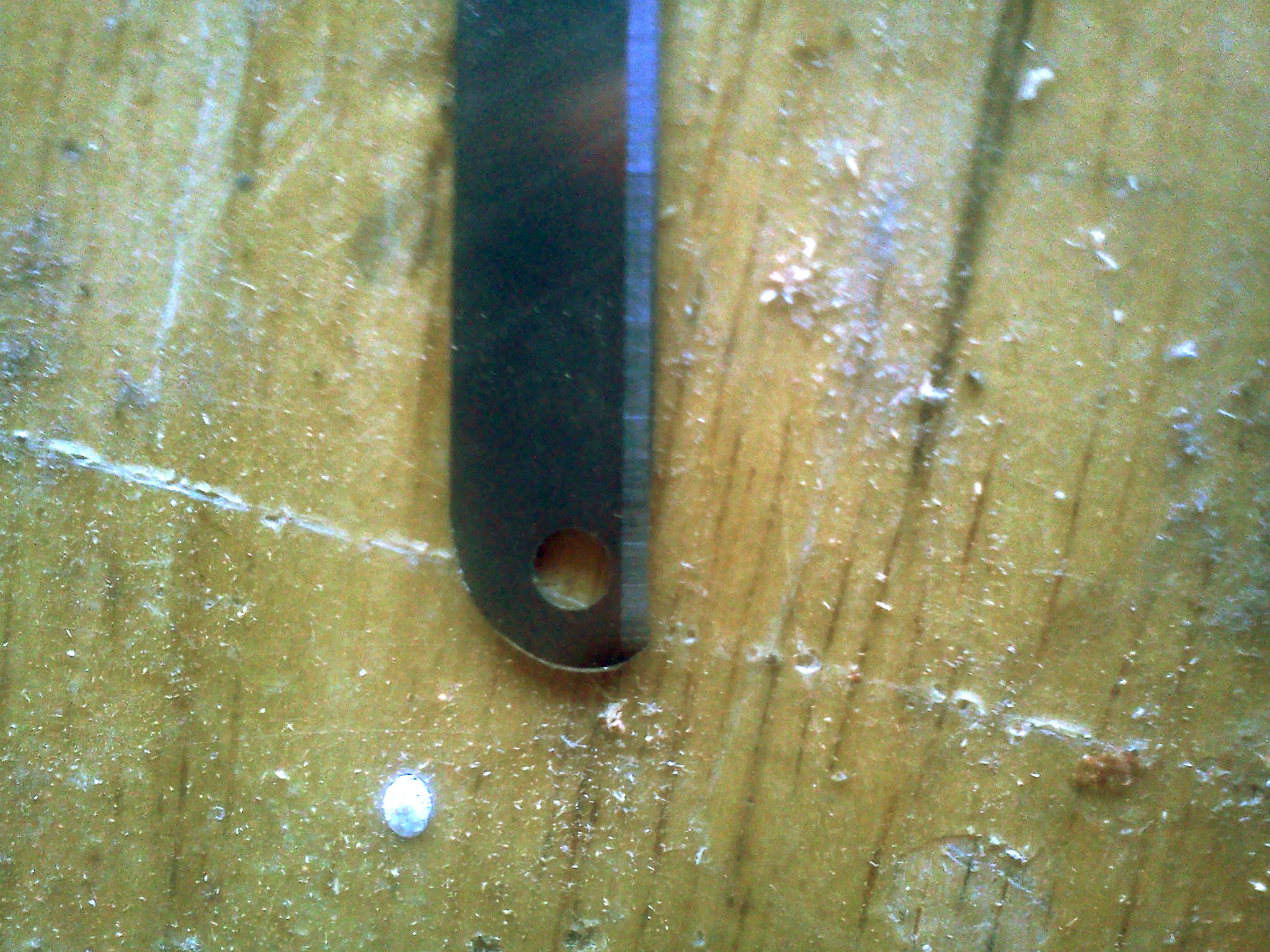 IMG256.jpg