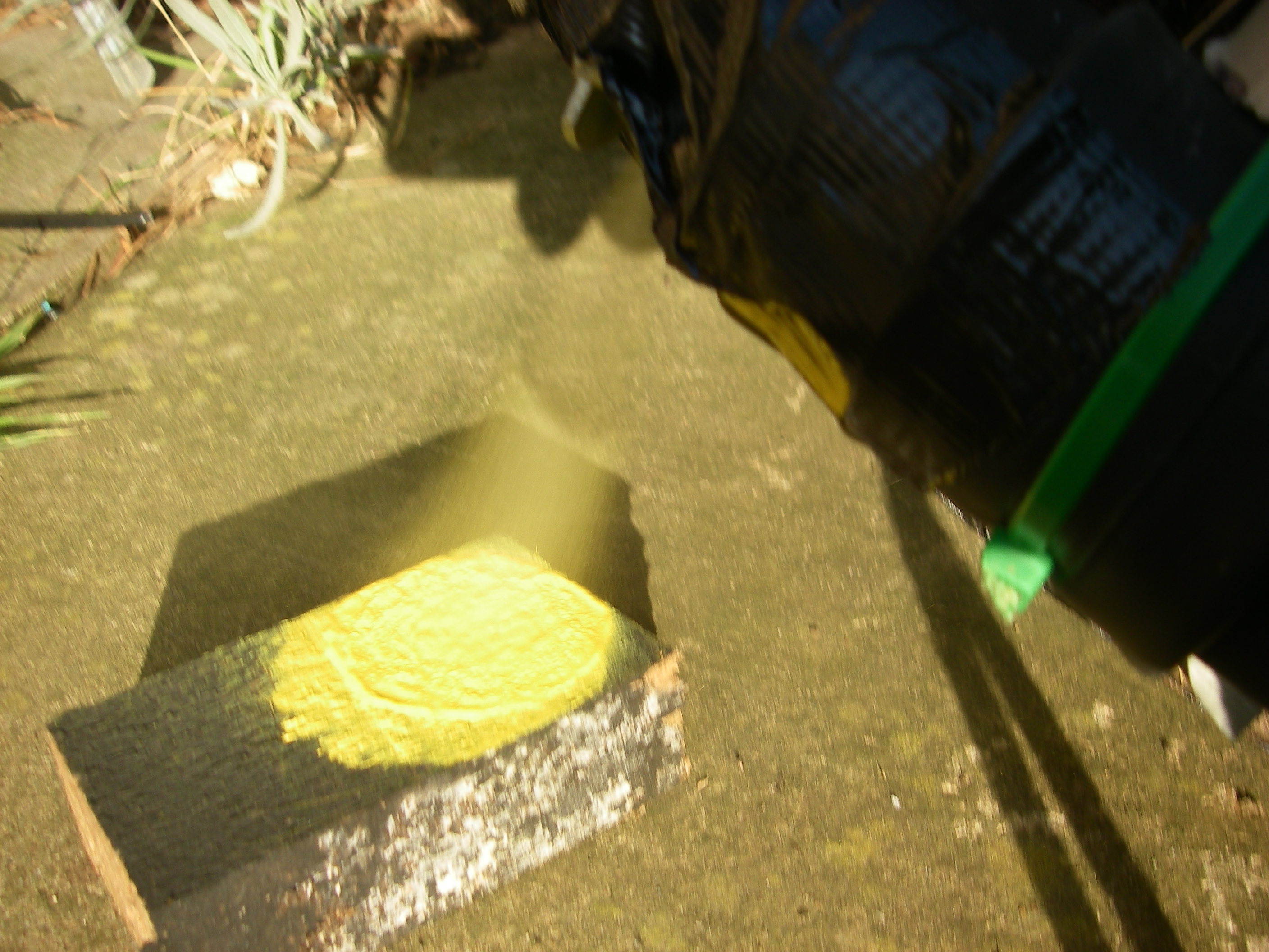 IMGP2425.JPG