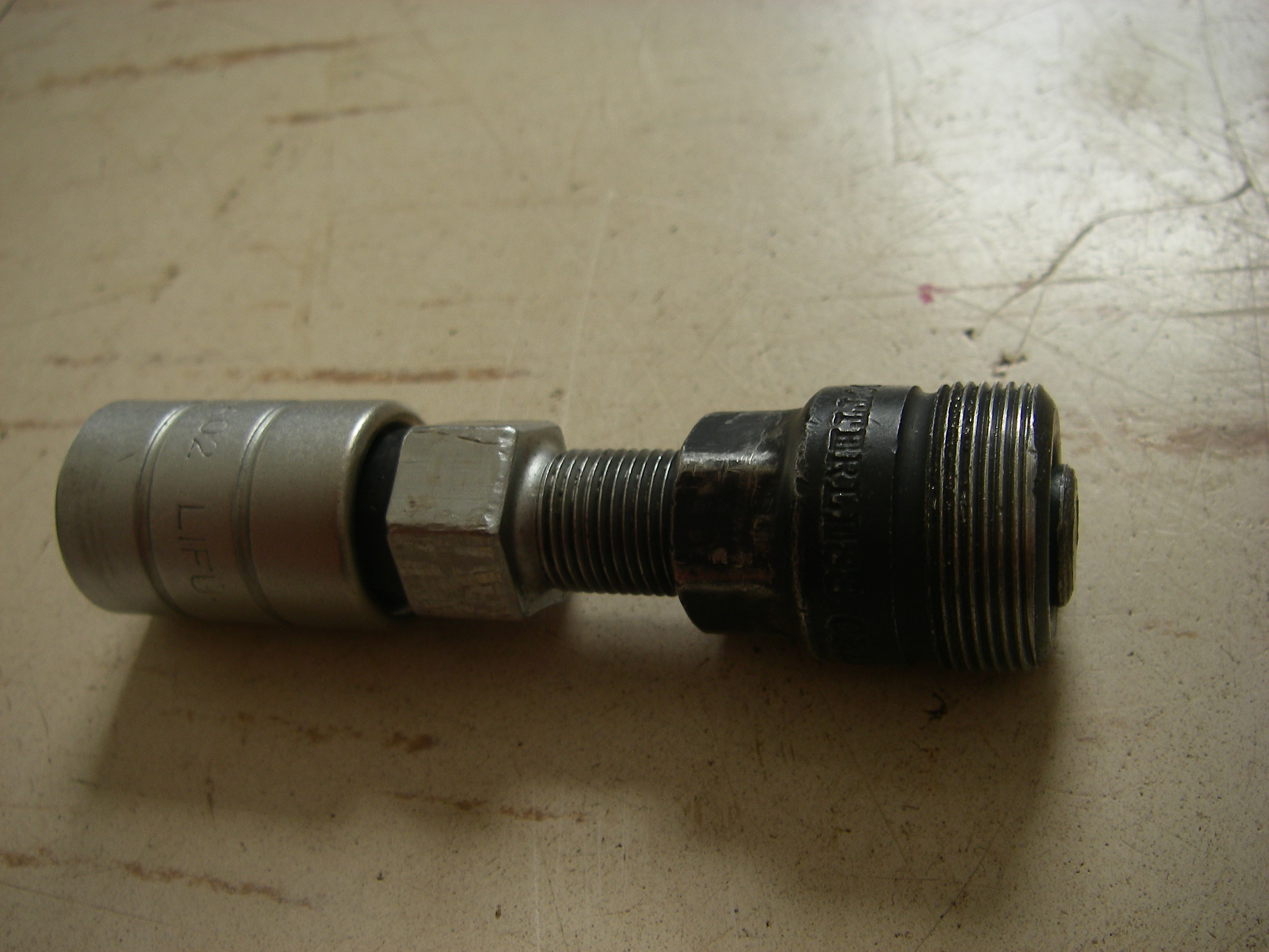 IMGP4737.JPG