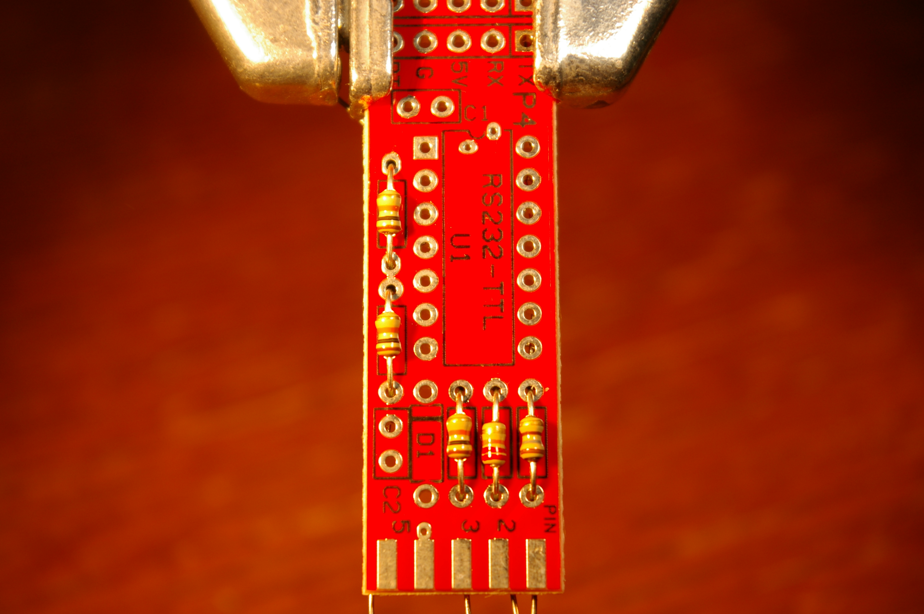 IMGP8395.JPG