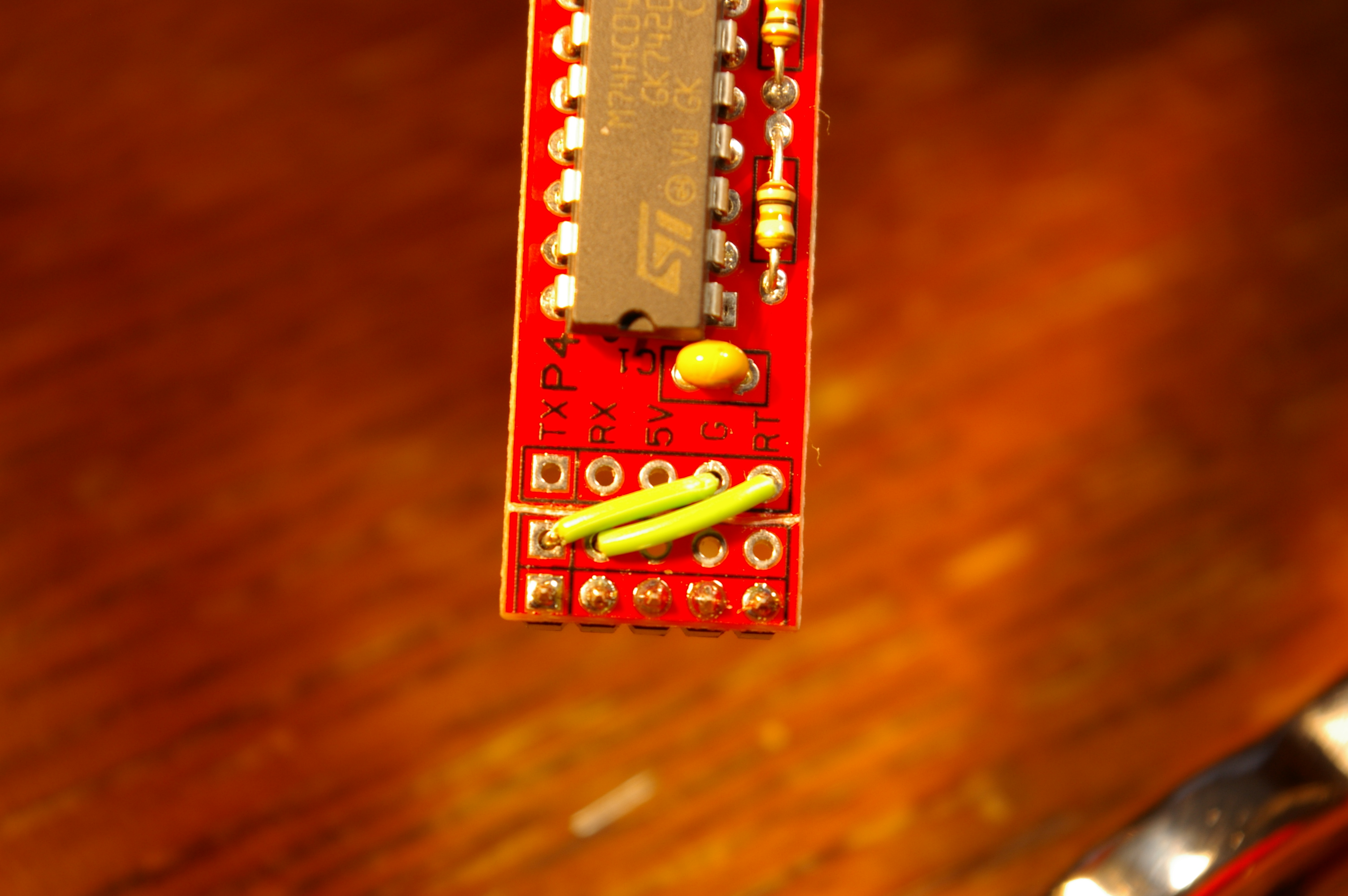 IMGP8406.JPG