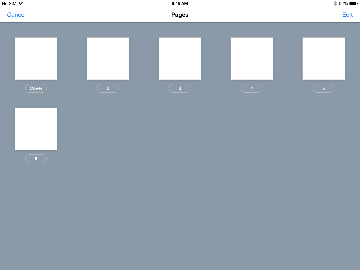 IMG_0028.PNG