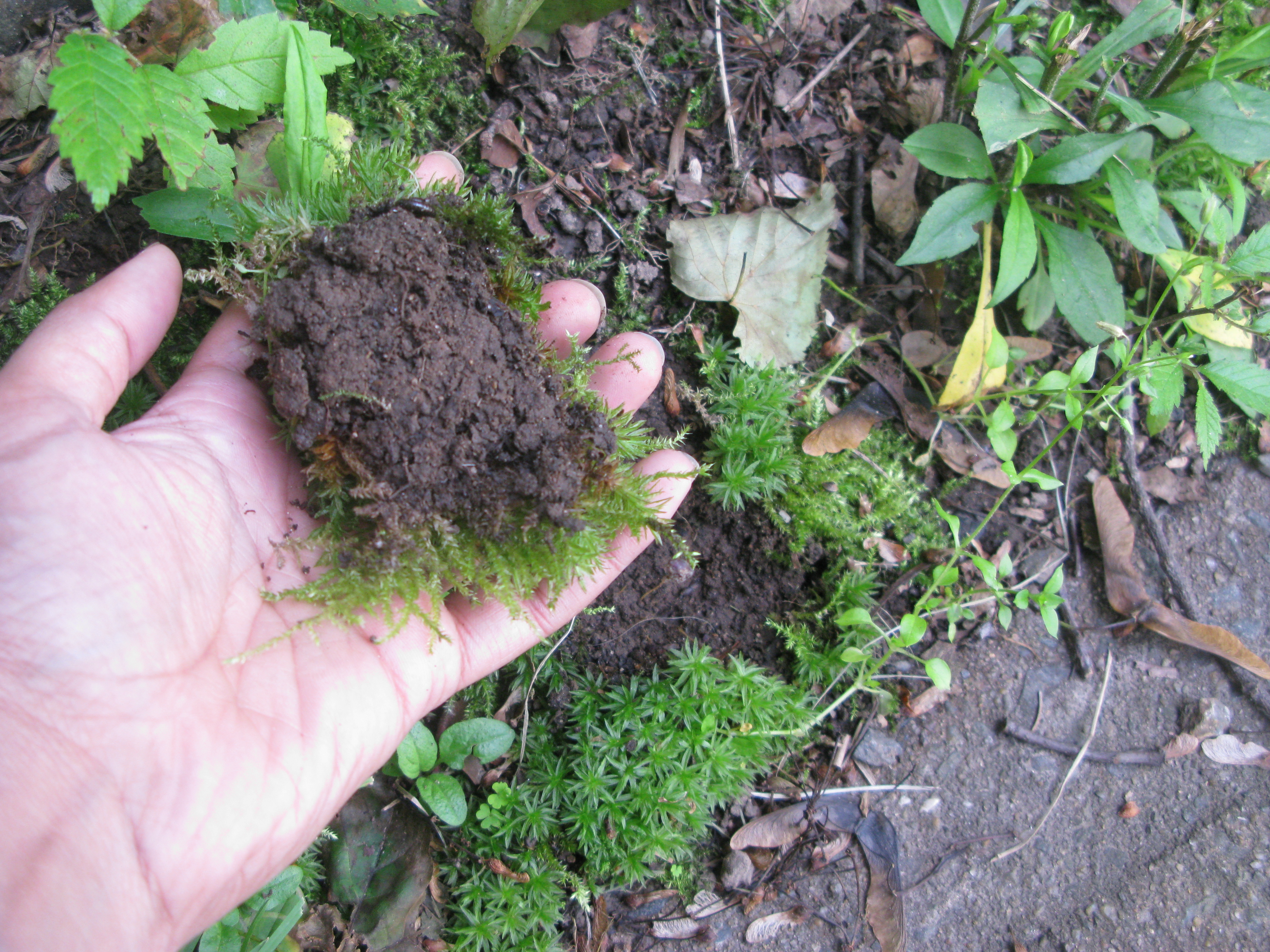 IMG_0633.JPG
