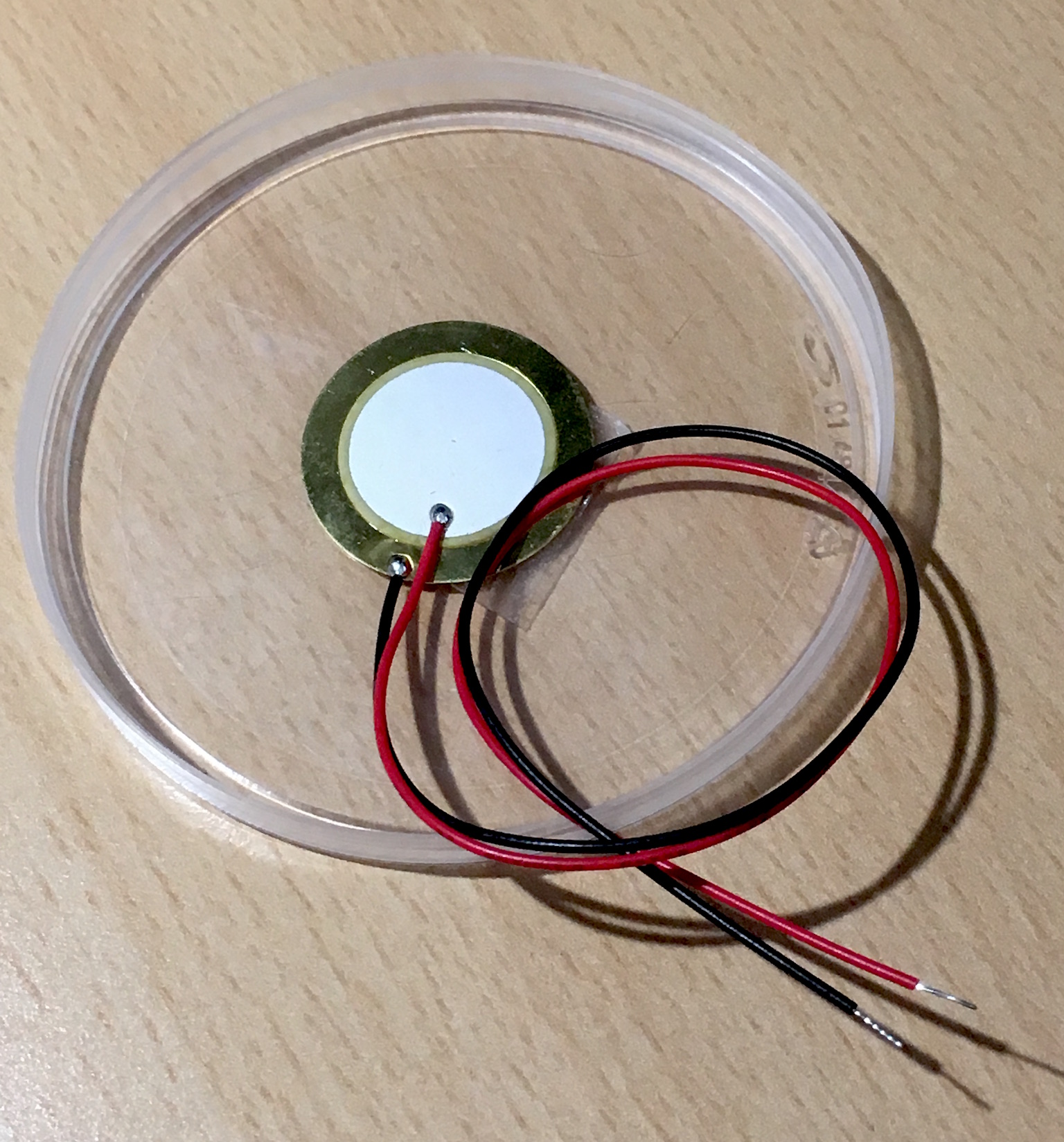 IMG_0731 Piezo on lid.JPG