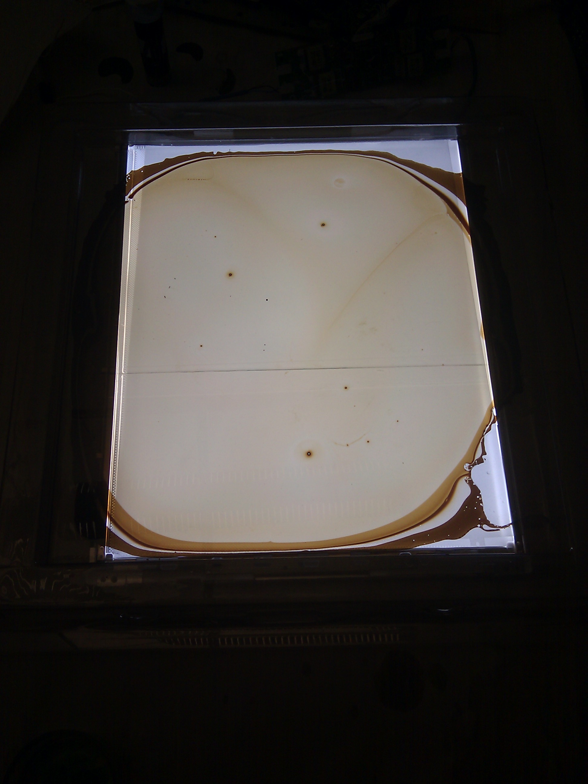 IMG_20121206_123538.jpg