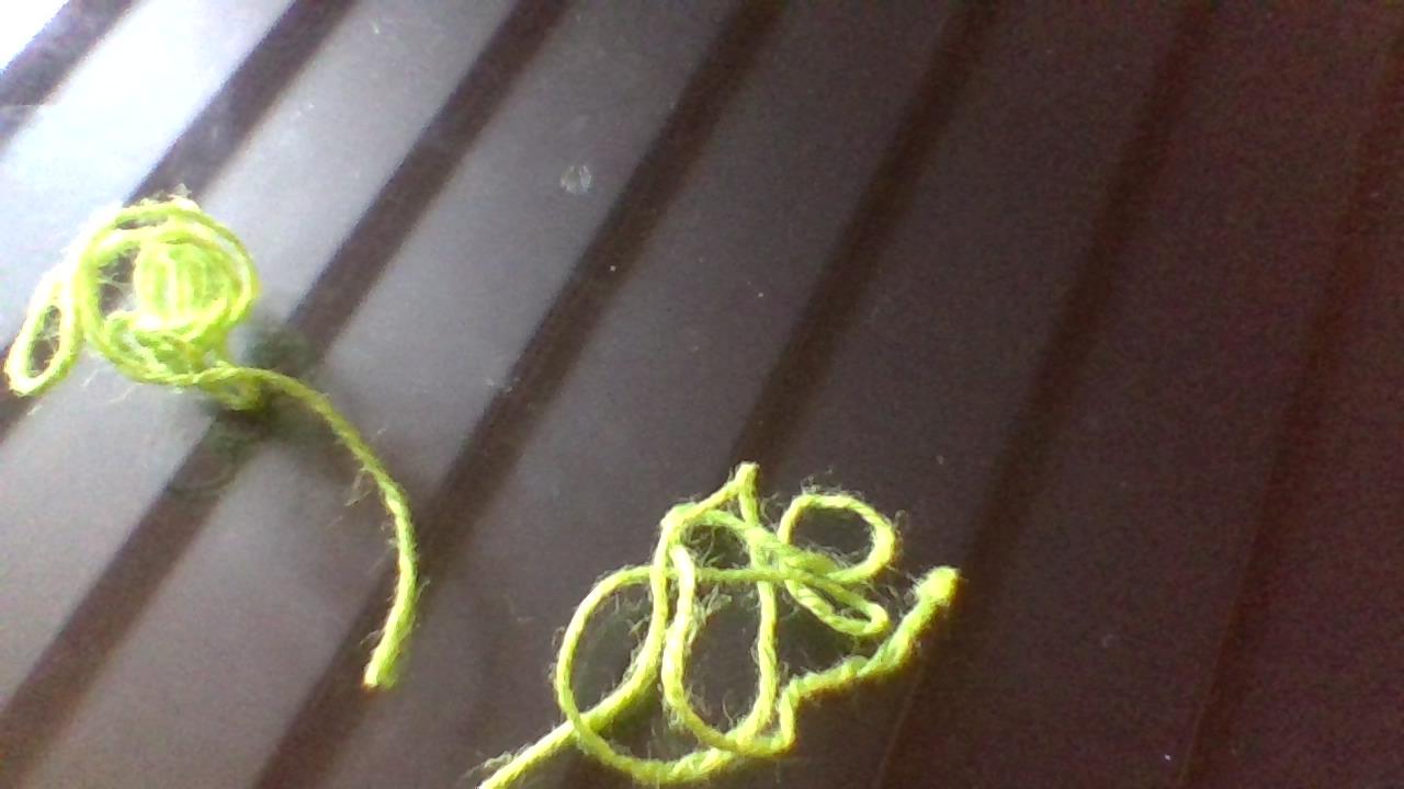 IMG_20210113_090806.jpg